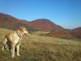 /album/fotogaleria/dsc-0072-jpg/